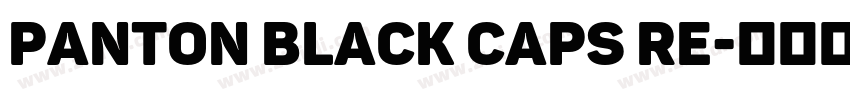 panton black caps re字体转换